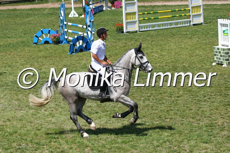 105M0116_Christels Boy_Springpf_L.JPG